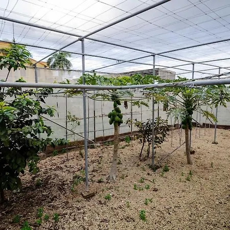 Finca Los Retalitos Un Oasis Con Piscina Privada *