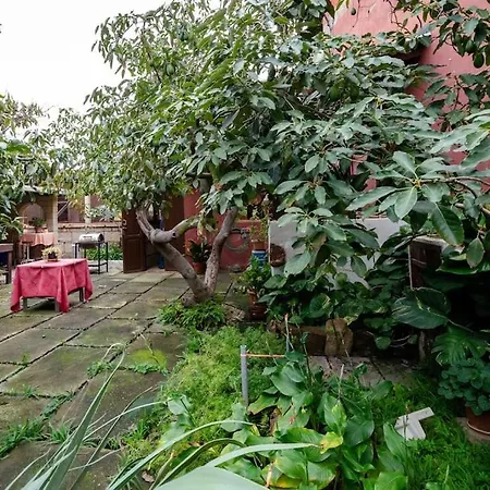 Vakantiehuis Finca Los Retalitos Un Oasis Con Piscina Privada