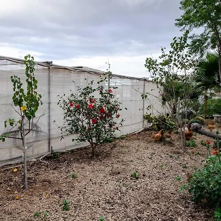 Vakantiehuis Finca Los Retalitos Un Oasis Con Piscina Privada