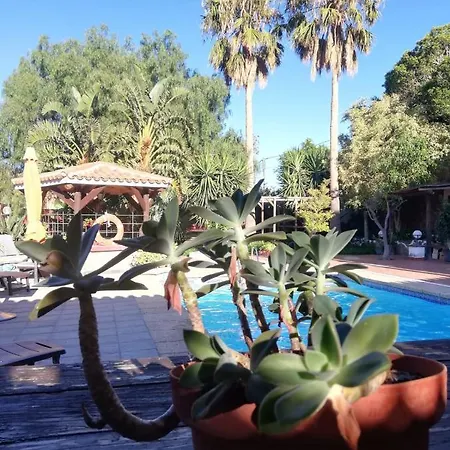 Vakantiehuis Finca Los Retalitos Un Oasis Con Piscina Privada