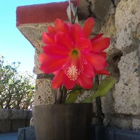Vakantiehuis Finca Los Retalitos Un Oasis Con Piscina Privada