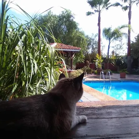Finca Los Retalitos un oasis con piscina privada Güímar
